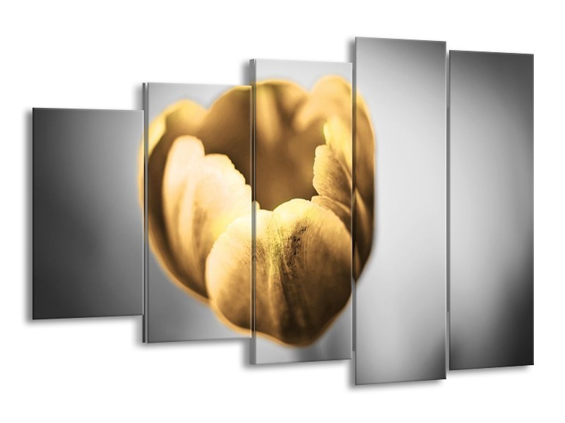 Canvas schilderij Tulp | Goud, Wit, Grijs | 150x100cm 5Luik