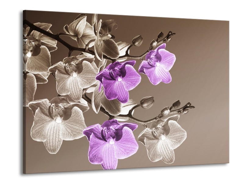 Canvas schilderij Orchidee | Bruin, Paars | 100x70cm 1Luik