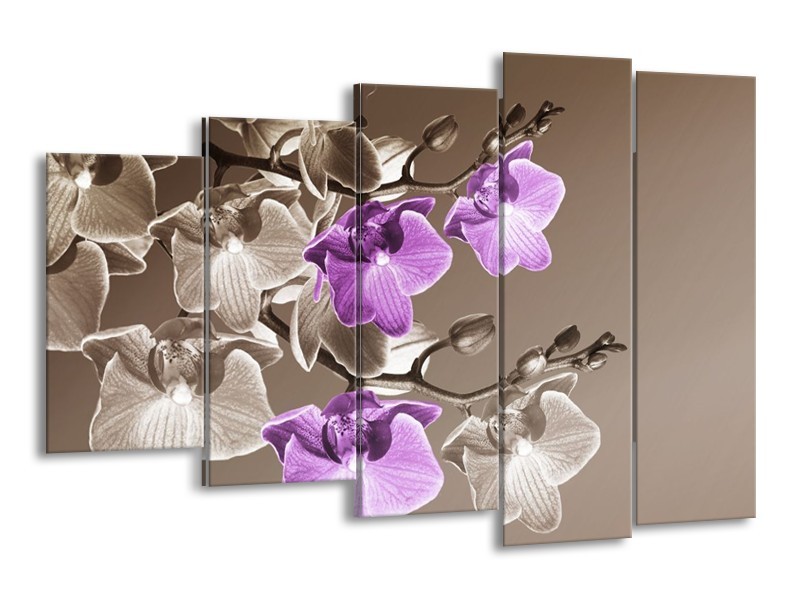 Canvas schilderij Orchidee | Bruin, Paars | 150x100cm 5Luik