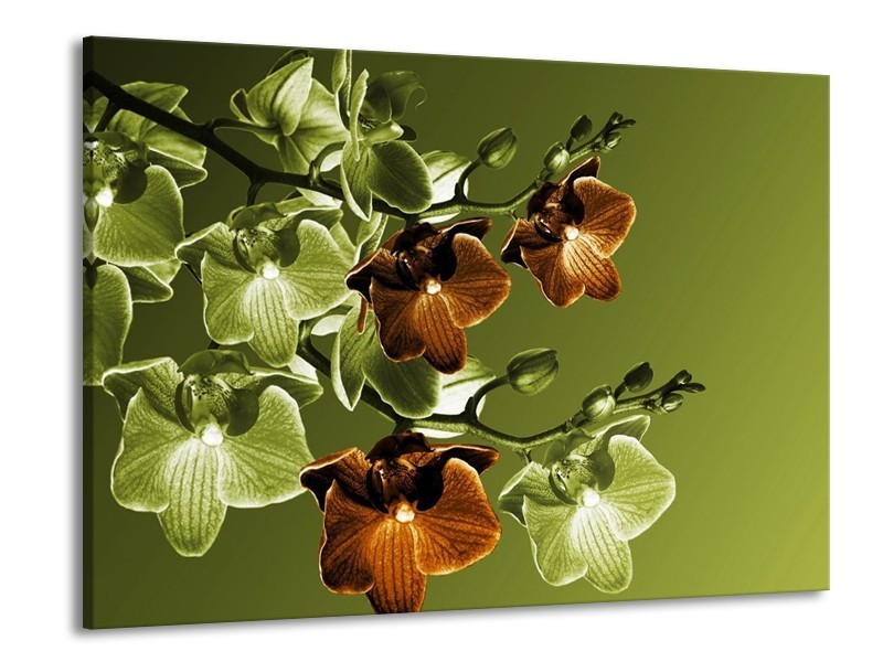Canvas schilderij Orchidee | Groen, Bruin | 100x70cm 1Luik