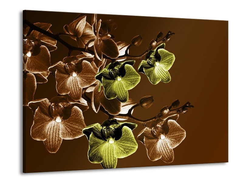 Canvas schilderij Orchidee | Groen, Bruin | 100x70cm 1Luik