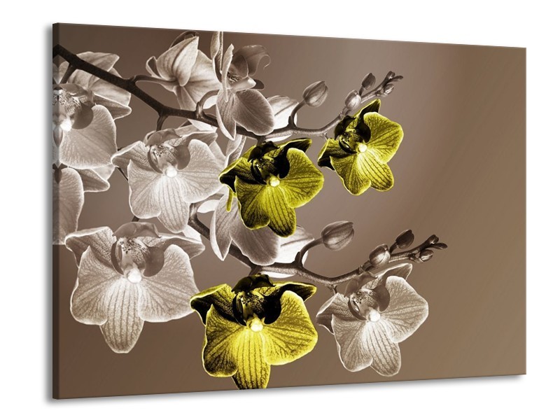 Canvas schilderij Orchidee | Groen, Bruin | 100x70cm 1Luik