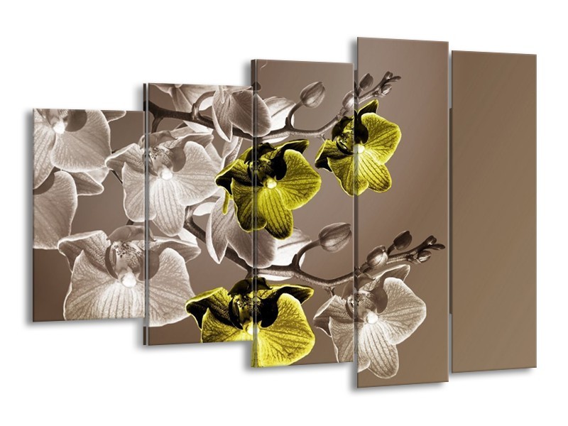 Canvas schilderij Orchidee | Groen, Bruin | 150x100cm 5Luik