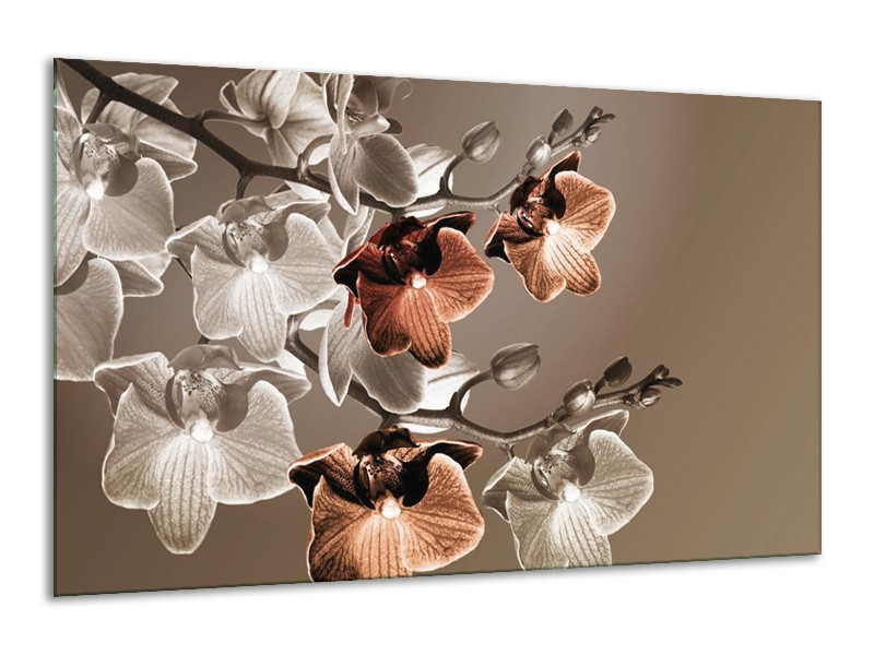 Canvas schilderij Orchidee | Grijs, Bruin | 120x70cm 1Luik