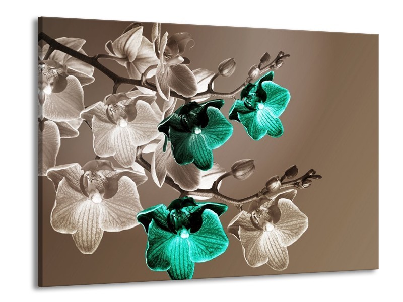 Canvas schilderij Orchidee | Groen, Bruin, Grijs | 100x70cm 1Luik