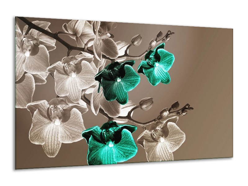 Canvas schilderij Orchidee | Groen, Bruin, Grijs | 120x70cm 1Luik