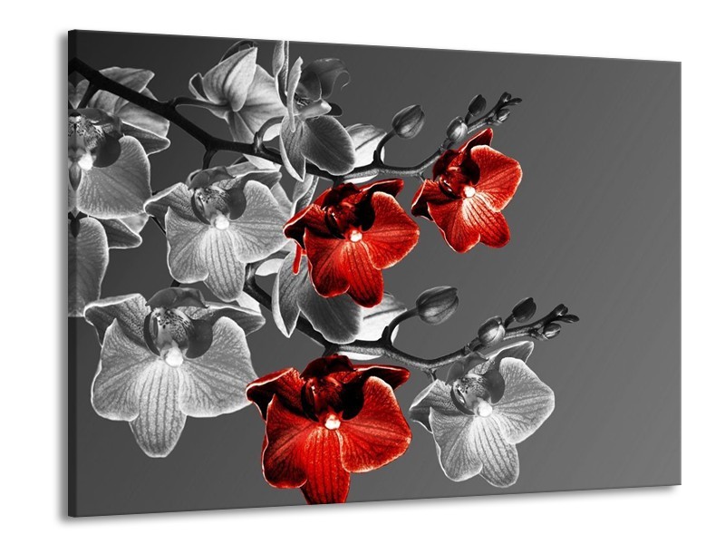 Canvas schilderij Orchidee | Zwart, Rood, Grijs | 100x70cm 1Luik