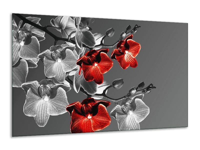 Canvas schilderij Orchidee | Zwart, Rood, Grijs | 120x70cm 1Luik