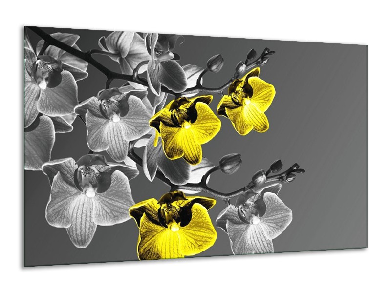 Canvas schilderij Orchidee | Zwart, Geel, Grijs | 120x70cm 1Luik