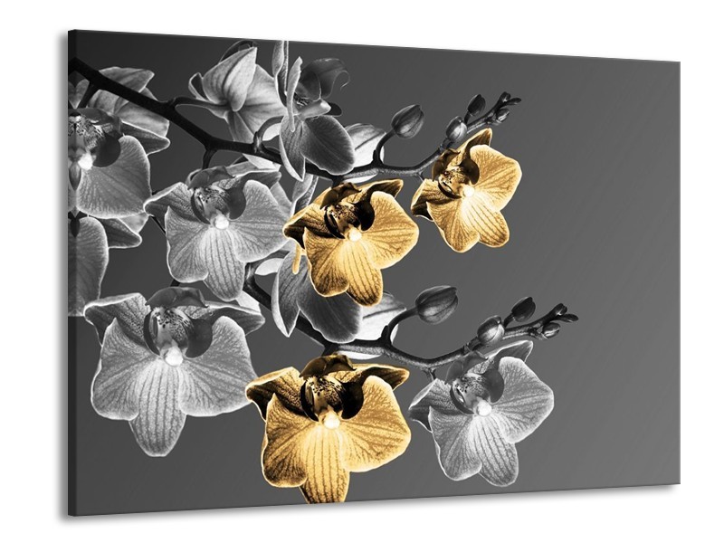 Canvas schilderij Orchidee | Zwart, Oranje, Grijs | 100x70cm 1Luik