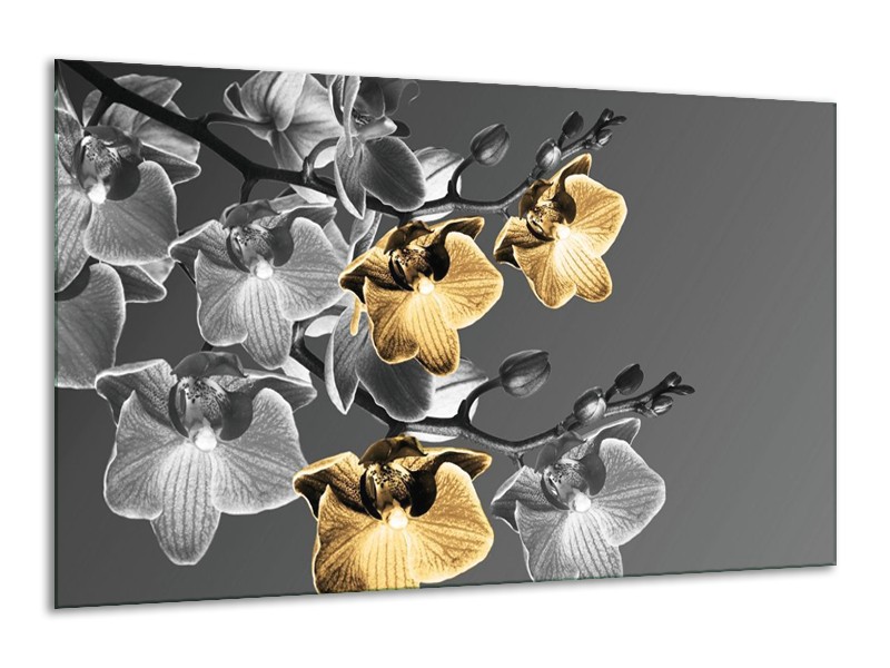 Canvas schilderij Orchidee | Zwart, Oranje, Grijs | 120x70cm 1Luik