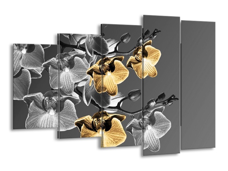 Canvas schilderij Orchidee | Zwart, Oranje, Grijs | 150x100cm 5Luik