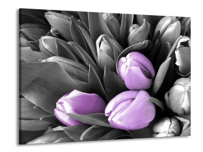Canvas schilderij Orchidee | Paars, Zwart, Grijs | 100x70cm 1Luik