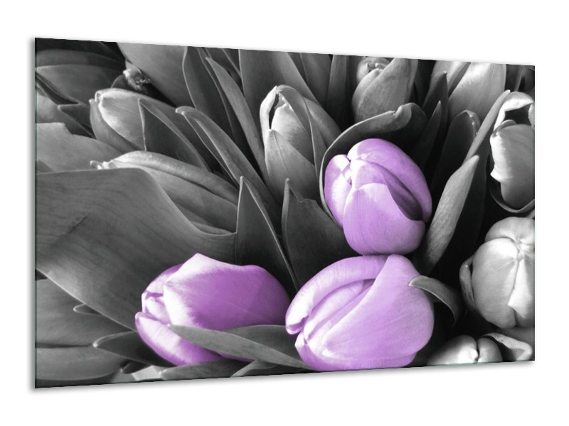 Canvas schilderij Orchidee | Paars, Zwart, Grijs | 120x70cm 1Luik