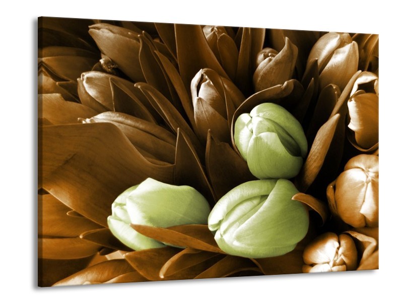 Canvas schilderij Orchidee | Bruin, Groen, Zwart | 100x70cm 1Luik