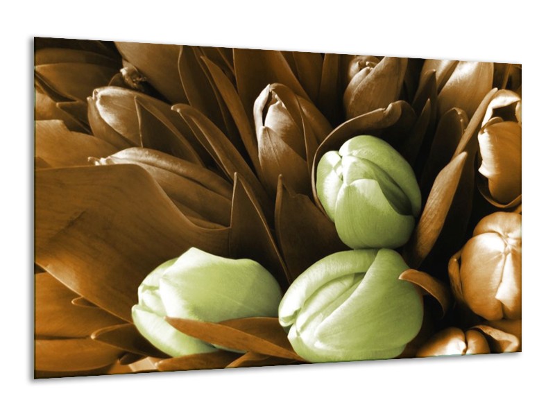 Canvas schilderij Orchidee | Bruin, Groen, Zwart | 120x70cm 1Luik
