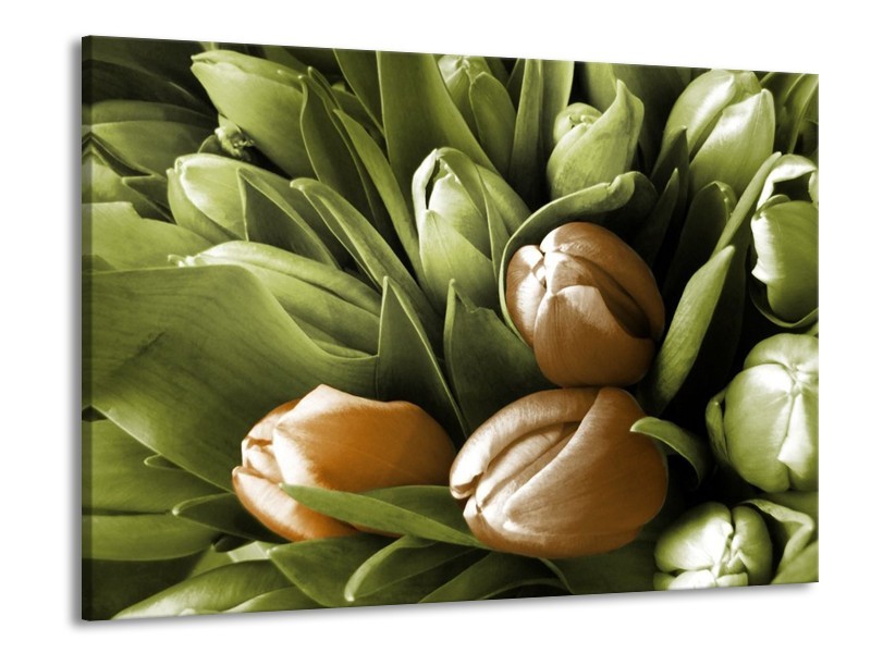 Canvas schilderij Orchidee | Bruin, Groen, Zwart | 100x70cm 1Luik