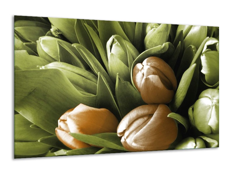 Canvas schilderij Orchidee | Bruin, Groen, Zwart | 120x70cm 1Luik