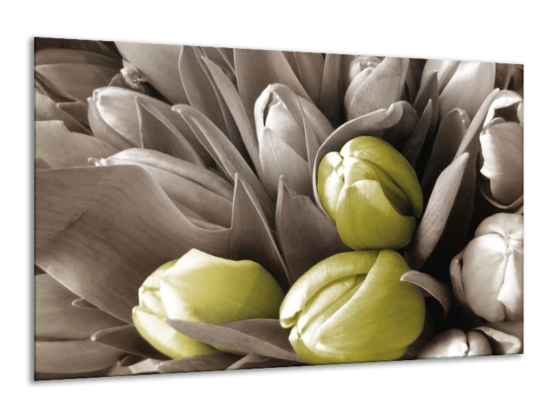 Canvas schilderij Orchidee | Bruin, Groen, Zwart | 120x70cm 1Luik