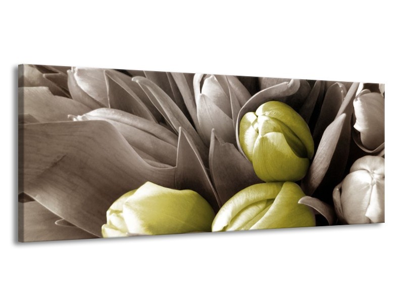 Canvas schilderij Orchidee | Bruin, Groen, Zwart | 145x58cm 1Luik
