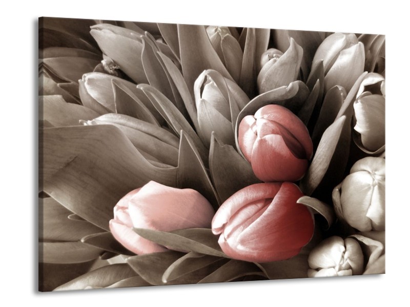 Canvas schilderij Orchidee | Bruin, Groen, Zwart | 100x70cm 1Luik