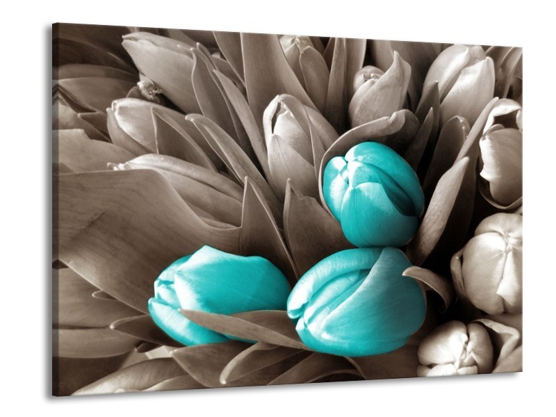 Canvas schilderij Orchidee | Grijs, Blauw, Zwart | 100x70cm 1Luik