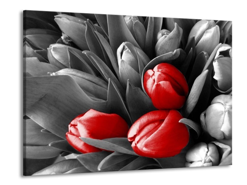 Canvas schilderij Orchidee | Grijs, Rood, Zwart | 100x70cm 1Luik