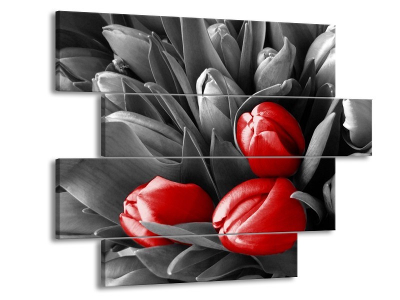 Canvas schilderij Orchidee | Grijs, Rood, Zwart | 115x85cm 4Luik