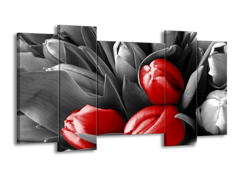 Canvas schilderij Orchidee | Grijs, Rood, Zwart | 120x65 5Luik