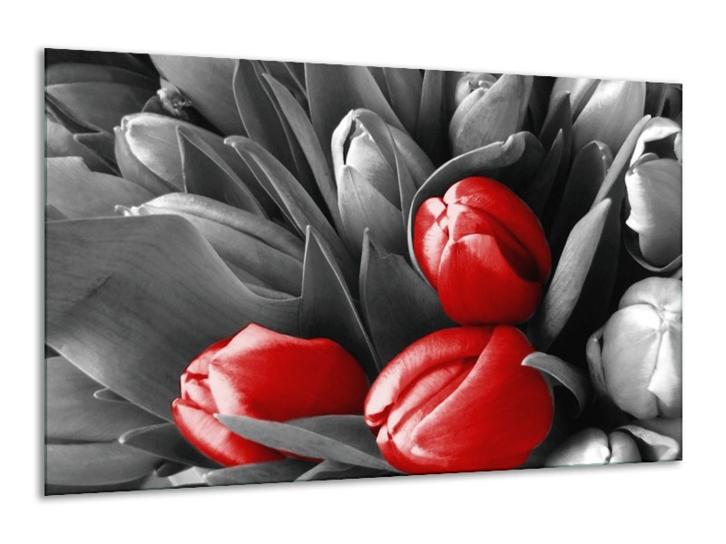 Canvas schilderij Orchidee | Grijs, Rood, Zwart | 120x70cm 1Luik