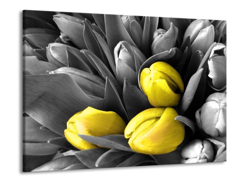 Canvas schilderij Orchidee | Grijs, Geel, Zwart | 100x70cm 1Luik