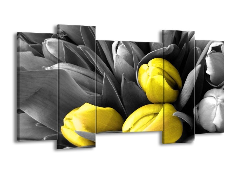 Canvas schilderij Orchidee | Grijs, Geel, Zwart | 120x65 5Luik