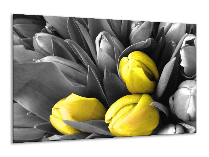 Canvas schilderij Orchidee | Grijs, Geel, Zwart | 120x70cm 1Luik