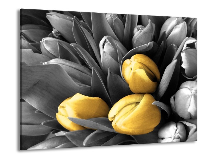 Canvas schilderij Orchidee | Grijs, Geel, Zwart | 100x70cm 1Luik