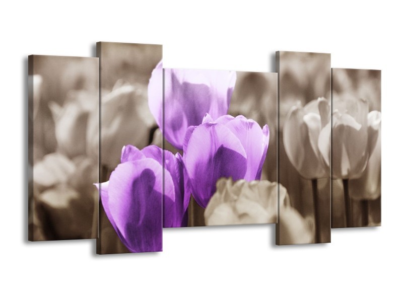 Canvas schilderij Tulpen | Paars, Grijs, Zwart | 120x65 5Luik