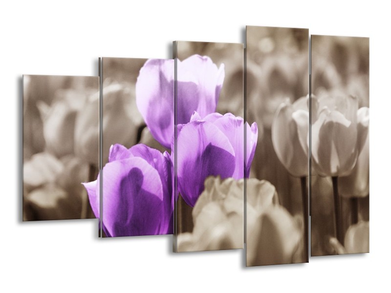 Canvas schilderij Tulpen | Paars, Grijs, Zwart | 150x100cm 5Luik