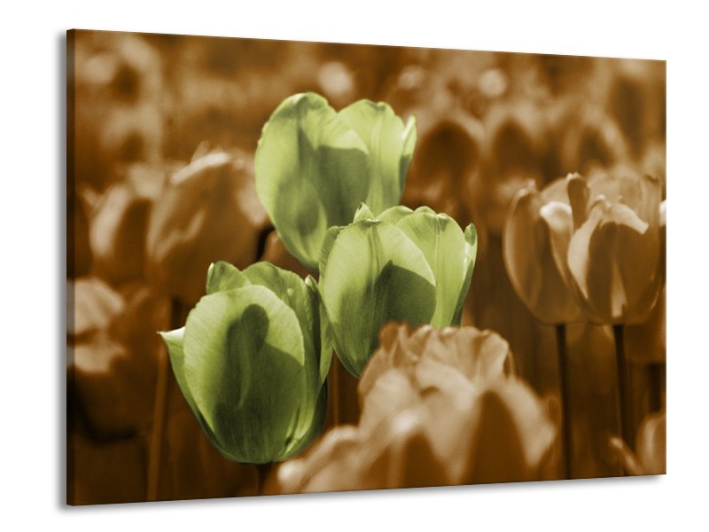Canvas schilderij Tulpen | Bruin, Groen, Zwart | 100x70cm 1Luik