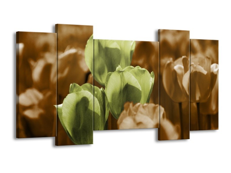 Canvas schilderij Tulpen | Bruin, Groen, Zwart | 120x65 5Luik