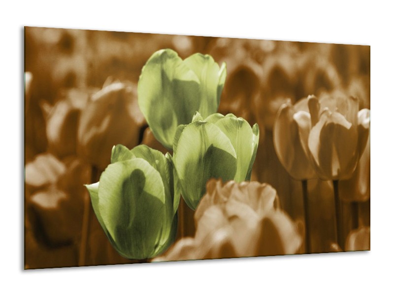 Canvas schilderij Tulpen | Bruin, Groen, Zwart | 120x70cm 1Luik