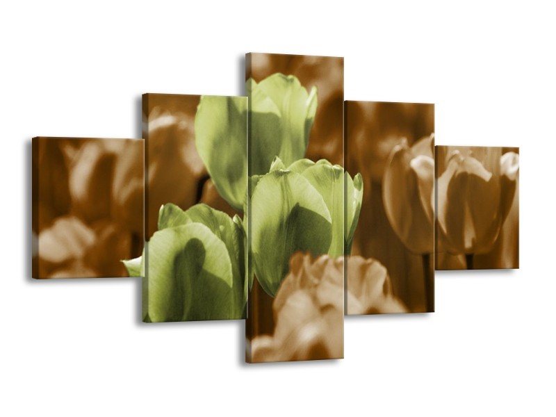 Canvas schilderij Tulpen | Bruin, Groen, Zwart | 125x70cm 5Luik