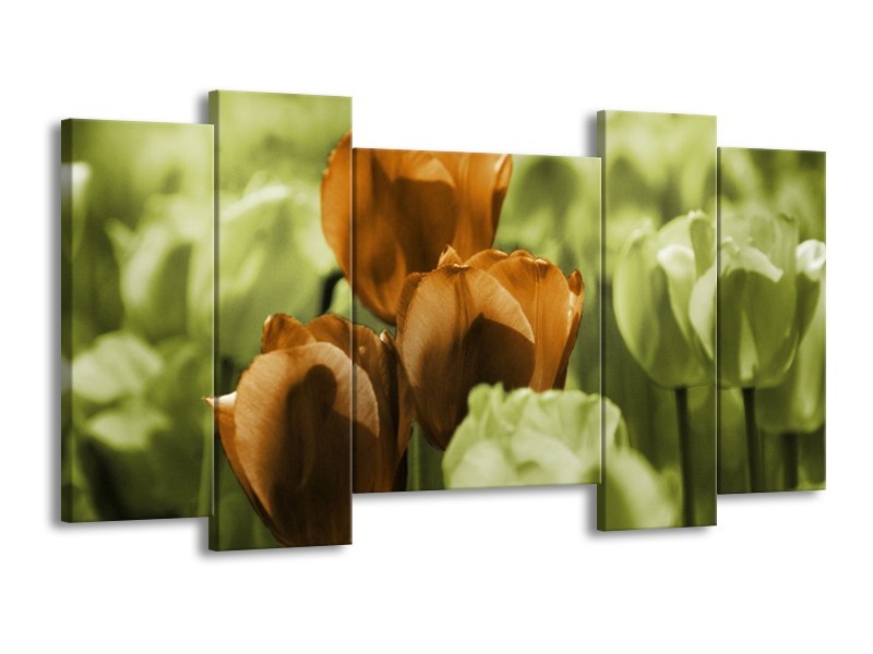Canvas schilderij Tulpen | Bruin, Groen, Zwart | 120x65 5Luik