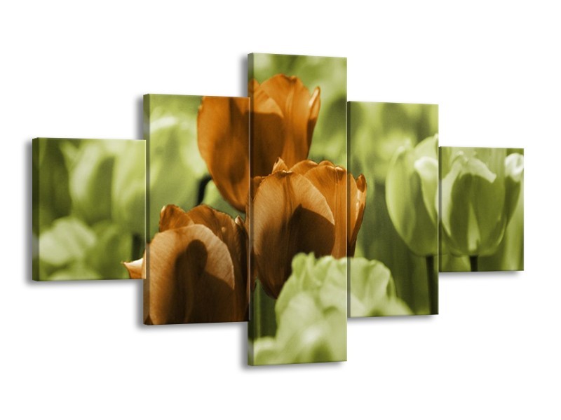 Canvas schilderij Tulpen | Bruin, Groen, Zwart | 125x70cm 5Luik
