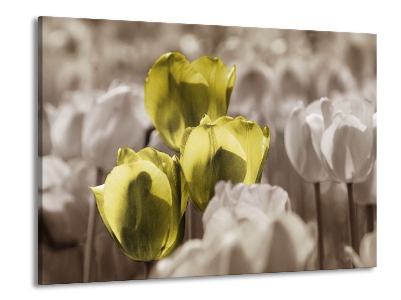 Canvas schilderij Tulpen | Bruin, Groen, Zwart | 100x70cm 1Luik