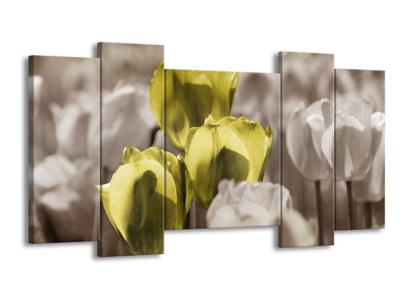 Canvas schilderij Tulpen | Bruin, Groen, Zwart | 120x65 5Luik