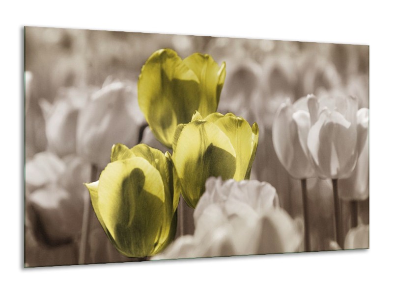 Canvas schilderij Tulpen | Bruin, Groen, Zwart | 120x70cm 1Luik