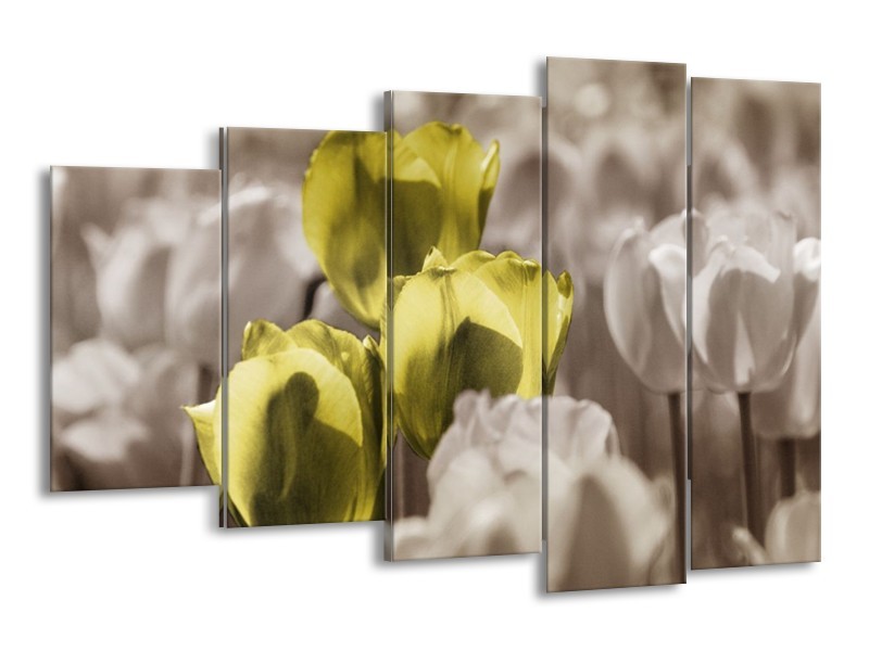 Canvas schilderij Tulpen | Bruin, Groen, Zwart | 150x100cm 5Luik