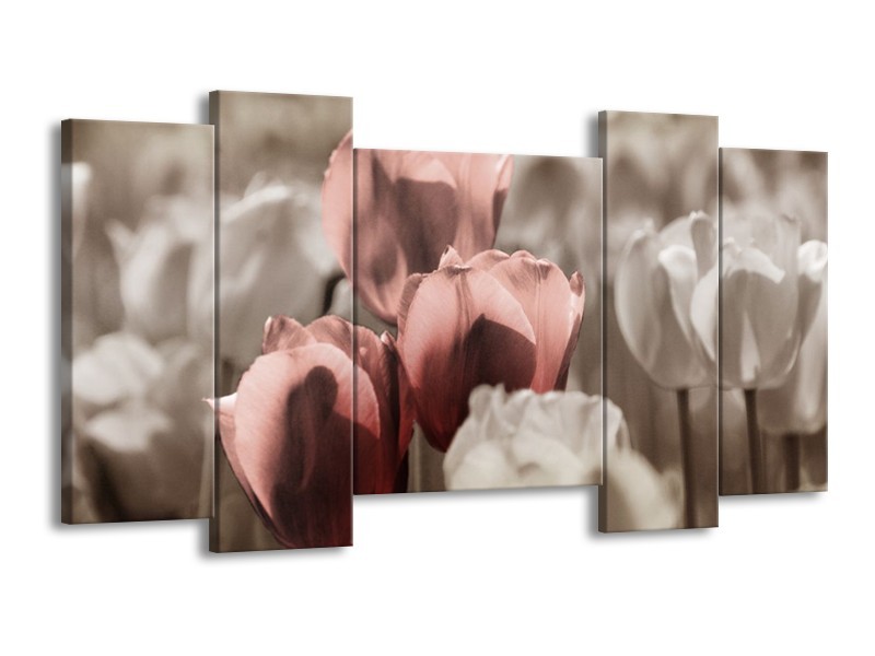 Canvas schilderij Tulpen | Bruin, Grijs | 120x65 5Luik