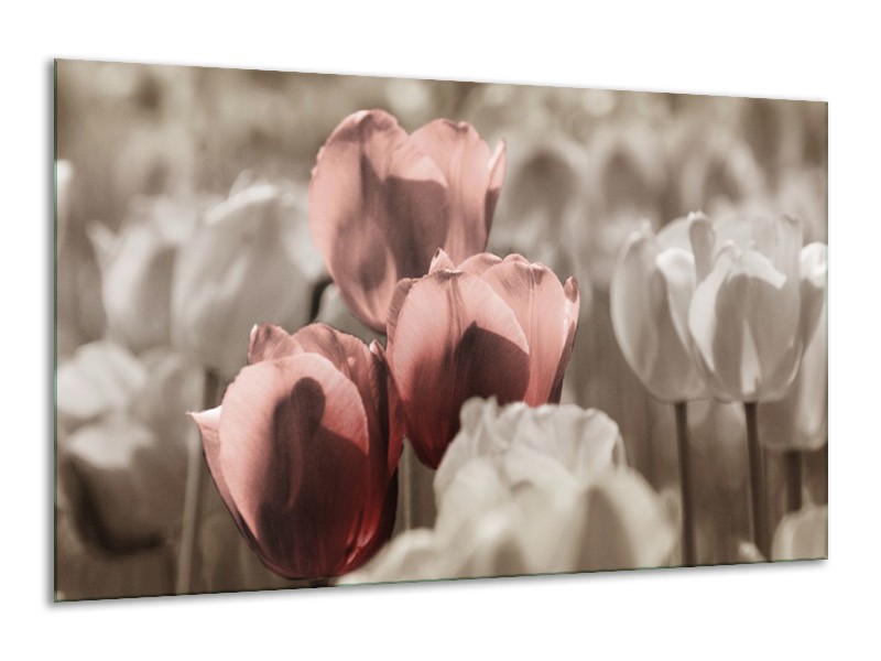 Canvas schilderij Tulpen | Bruin, Grijs | 120x70cm 1Luik
