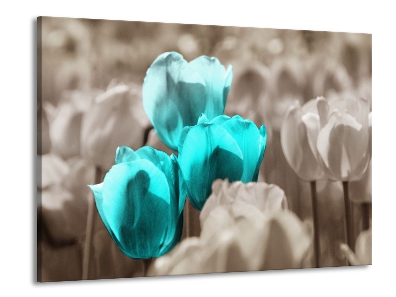 Canvas schilderij Tulpen | Blauw, Grijs | 100x70cm 1Luik