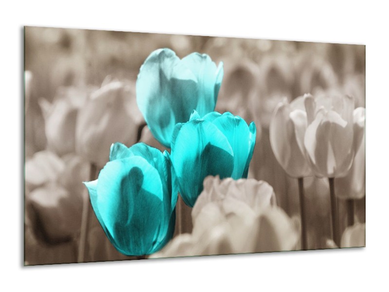Canvas schilderij Tulpen | Blauw, Grijs | 120x70cm 1Luik